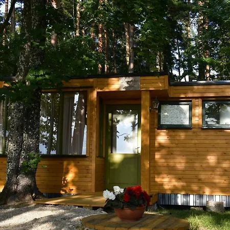 Kempings Ezerpriedes Campingplatz